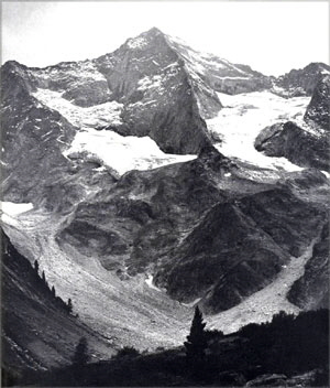 BT-Grundschartner-1