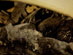 05-02n69a