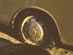 05-03n69a